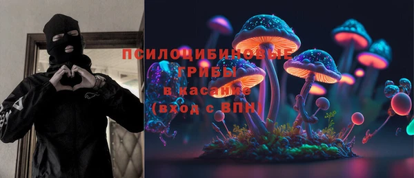 spice Алзамай