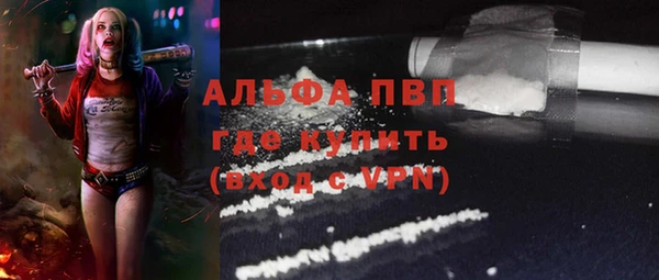 стафф Алексин
