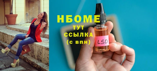 стафф Алексин