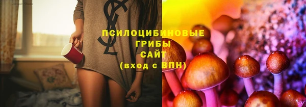 стафф Алексин