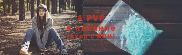 стафф Алексин