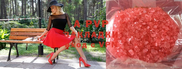 стафф Алексин