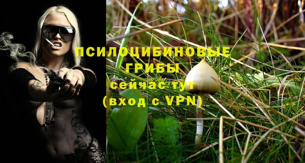стафф Алексин