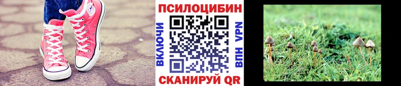 Галлюциногенные грибы ЛСД  Луза 